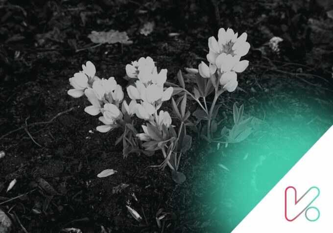 Think Coaching Academy – Resilience Think Coaching Academy - Resilience